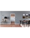 Ganzglastür Drehtür ESG-Glas in Design Landshut für Studio / Studio und Office / Studio